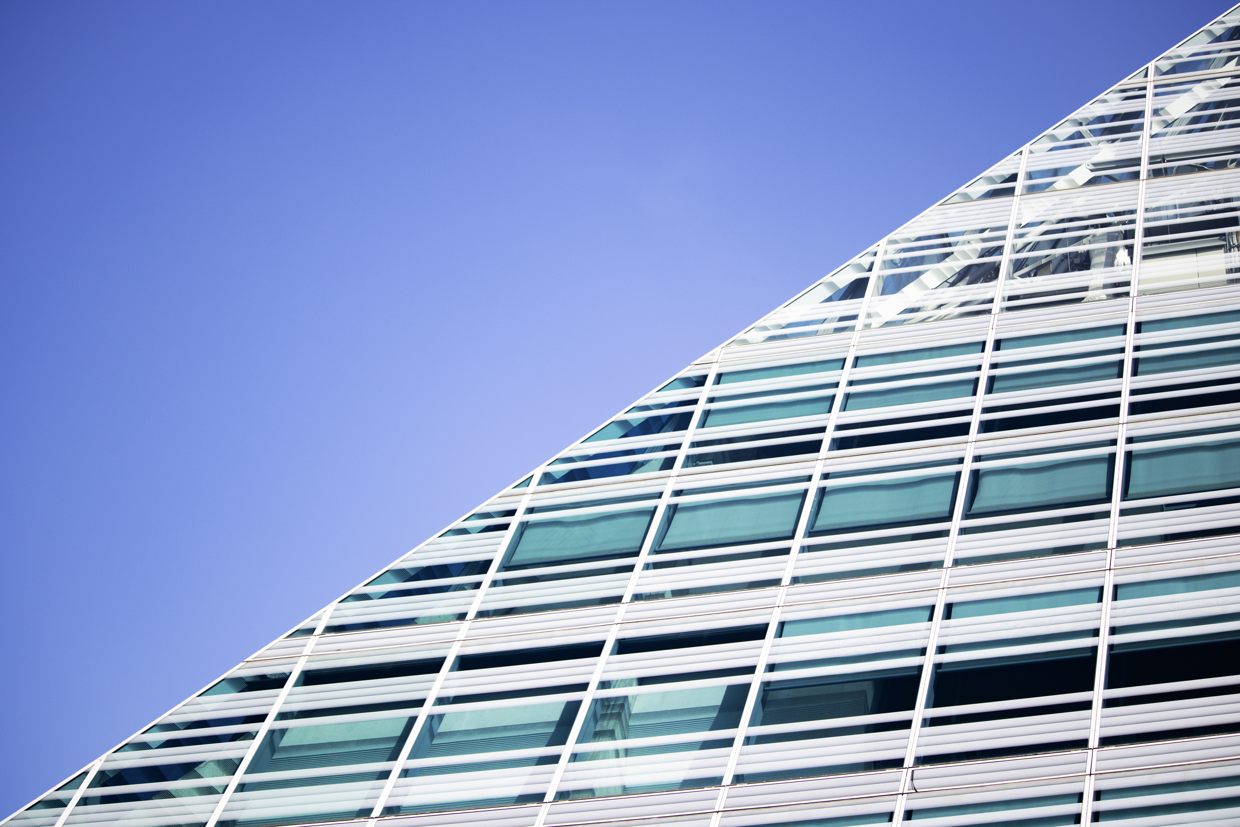 Bibilothek