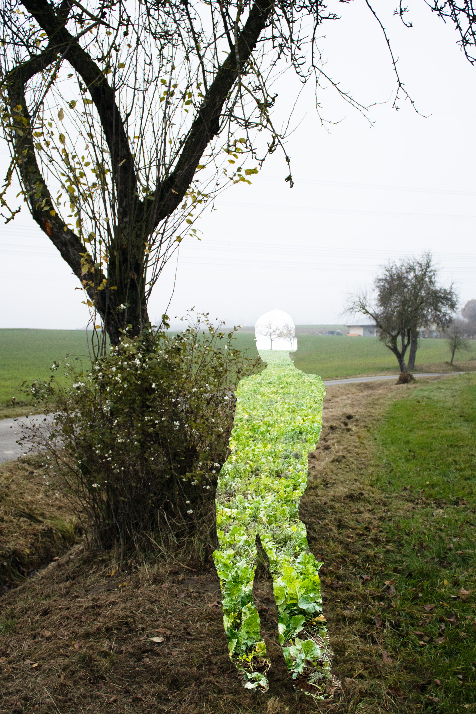 Teil der Landschaft 1