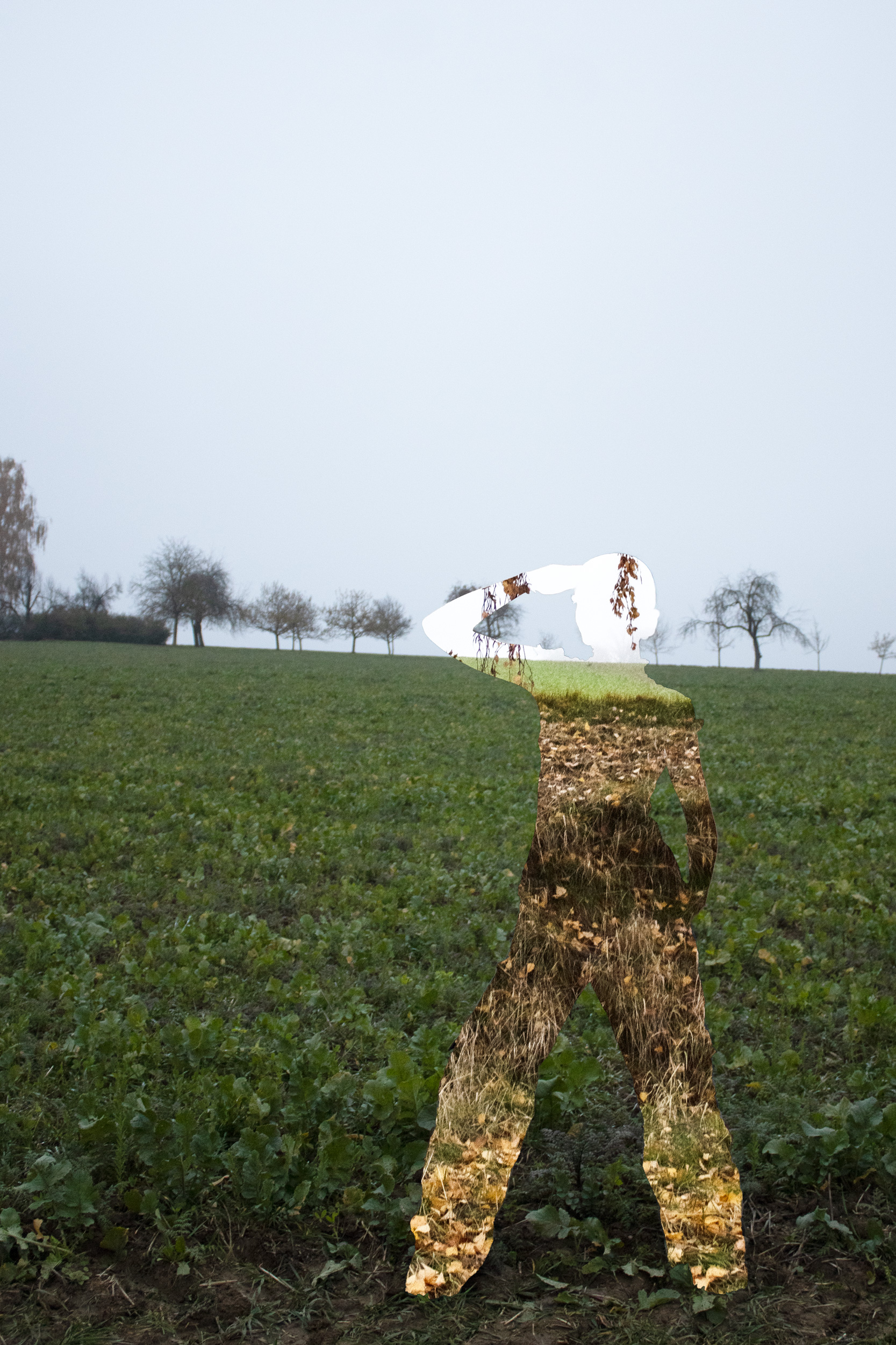 Teil der Landschaft 3